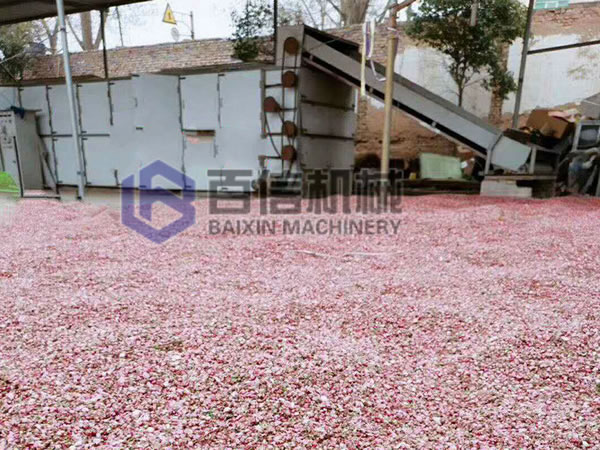 桃花烘干機設備案例